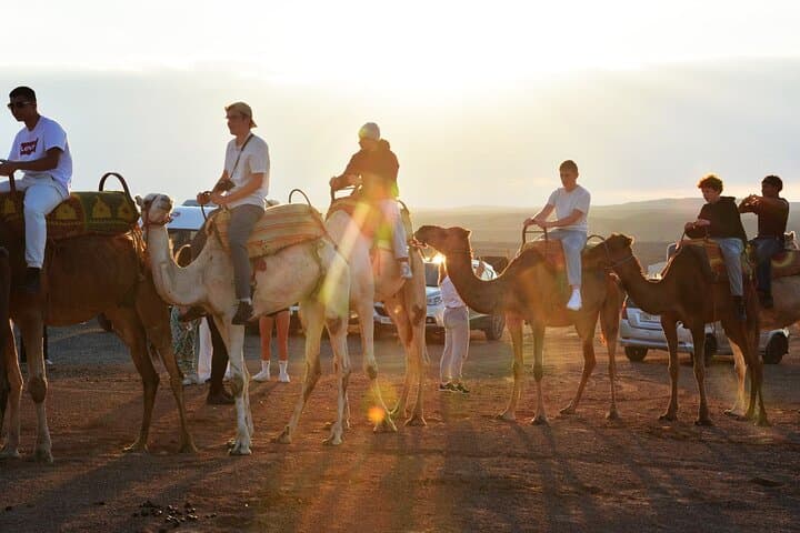 Agafay Desert Quad-Bike, Camel Ride & Dinner Show from Marrakech photo 5