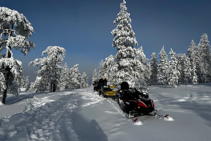 Explore Rovaniemi’s Arctic Wilderness on a Snowmobile Safari photo 3