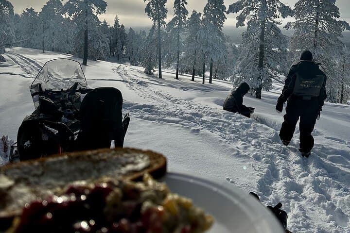 Explore Rovaniemi’s Arctic Wilderness on a Snowmobile Safari photo 4