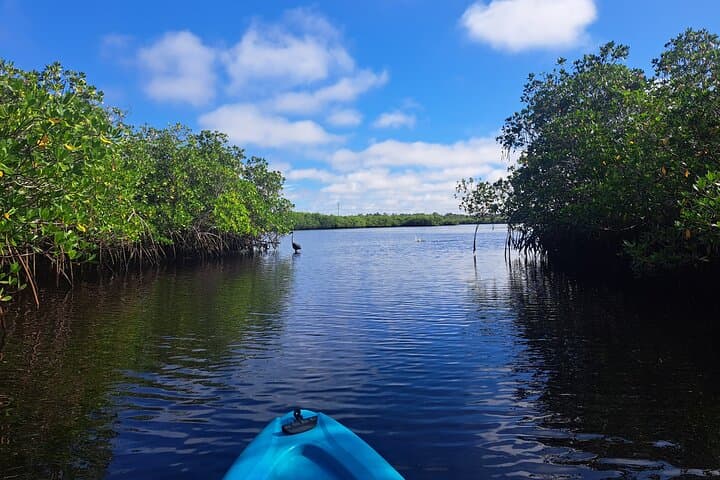 Kayak with Manatees and Explore Tarpon Springs' Historic Sponge Docks photo 2