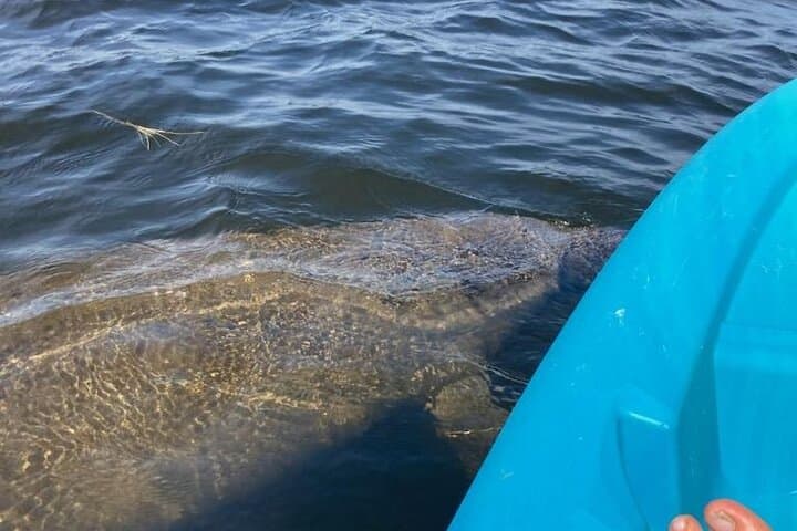 Kayak with Manatees and Explore Tarpon Springs' Historic Sponge Docks