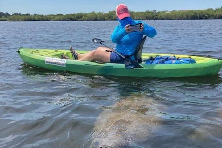 Kayak with Manatees and Explore Tarpon Springs' Historic Sponge Docks photo 4