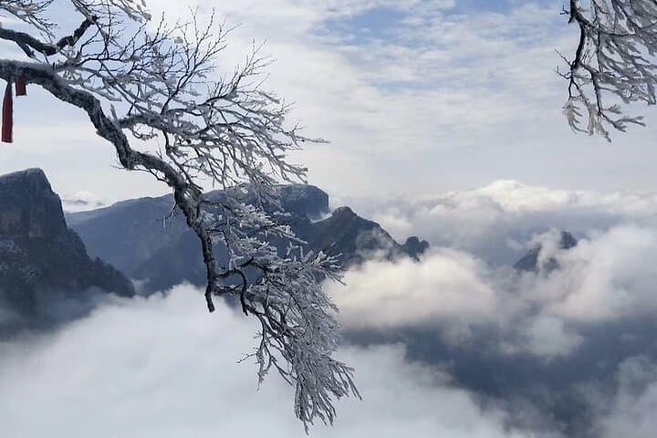 2-Day Private Combo: Zhangjiajie Avatar Mountain & Tianmen Skywalk photo 5