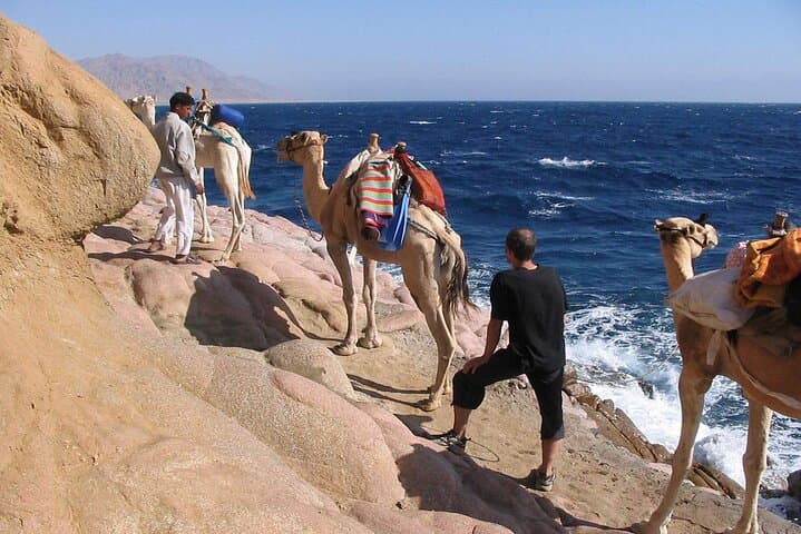 Dahab Camel Trek: Private Desert-and-Beach Ride with Lunch