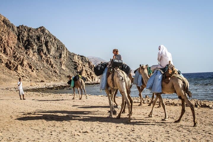 Dahab Camel Trek: Private Desert-and-Beach Ride with Lunch photo 4