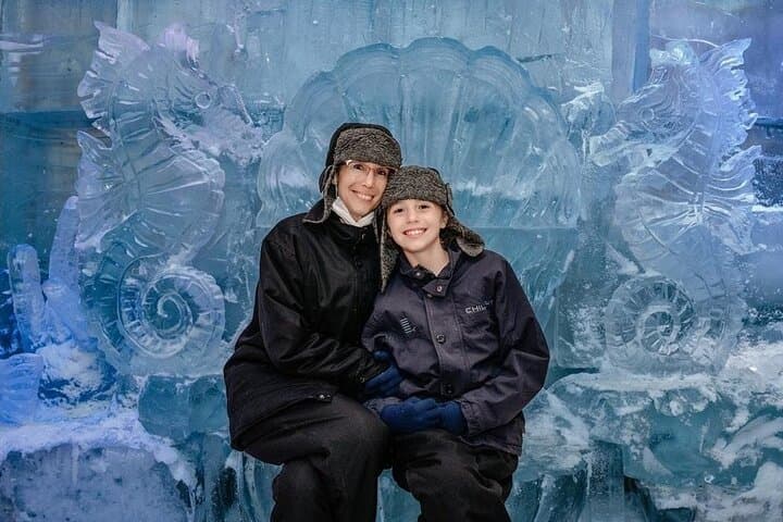 Dubai Chillout Ice Lounge Tickets — Subzero Ice Sculptures & Thermal Experience photo 6
