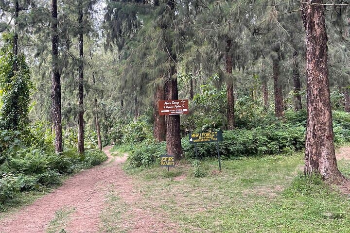 Mount Meru Private Waterfall Tour — Cycle, Quad, Zipline & Hike from Arusha photo 2