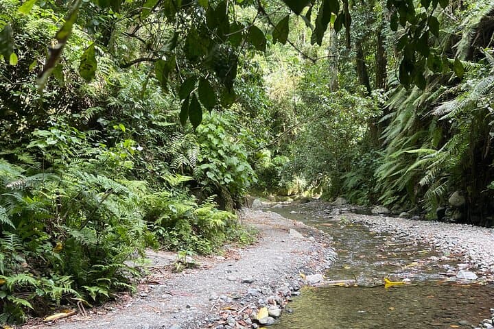 Mount Meru Private Waterfall Tour — Cycle, Quad, Zipline & Hike from Arusha photo 5
