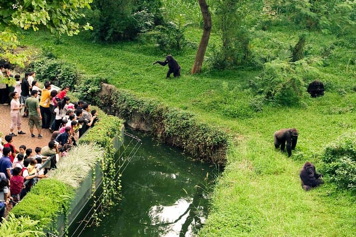 Skip-the-Line Prague Zoo Visit with Private Transfers photo 5