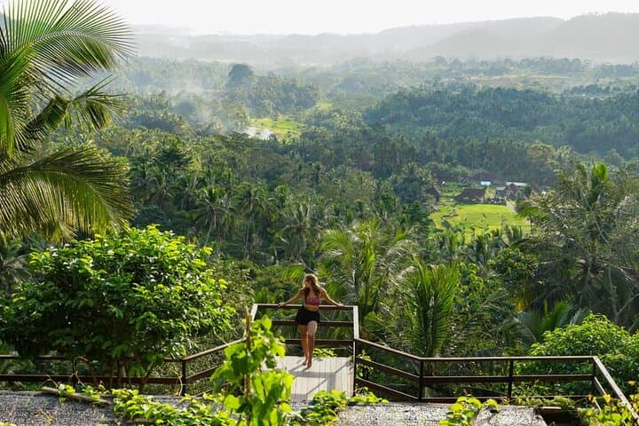 Private Car Hire with Expert Balinese Driver — Custom Bali Day Tours photo 6
