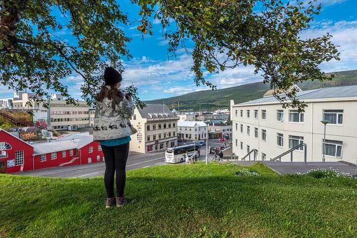Private Reykjavik Walking Tour — Best of Reykjavik in 2 Hours photo 4