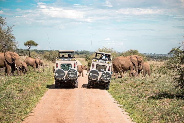 5-Day Simba Safari: Serengeti & Ngorongoro Wildlife Expedition photo 1