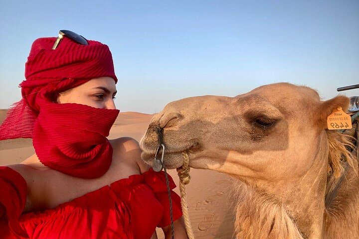 Fes to Merzouga Desert Tour: 2-Day Camel Trek & Overnight in Erg Chebbi photo 5