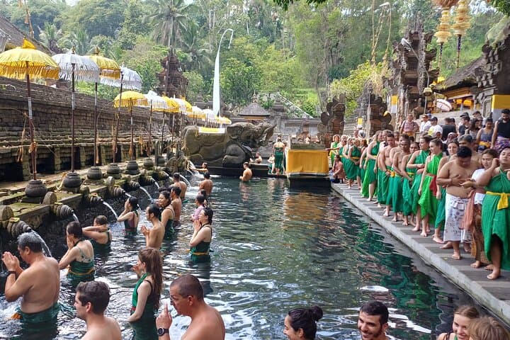 Private Driver Hire in Bali — Ubud Day Tours to Tegalalang, Temples & Waterfalls photo 4