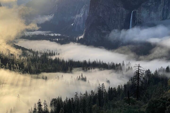 Yosemite Winter Highlights Small Group Tour — Glacier Point, Yosemite Falls & Valley Photo Stops