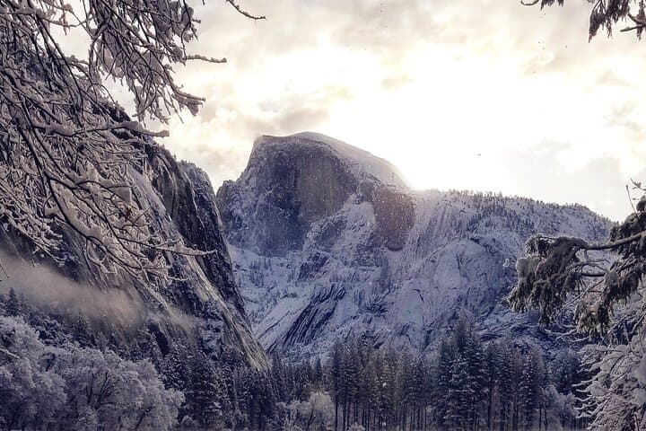 Yosemite Winter Highlights Small Group Tour — Glacier Point, Yosemite Falls & Valley Photo Stops photo 5