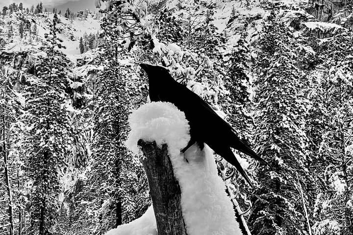 Yosemite Winter Highlights Small Group Tour — Glacier Point, Yosemite Falls & Valley Photo Stops photo 6