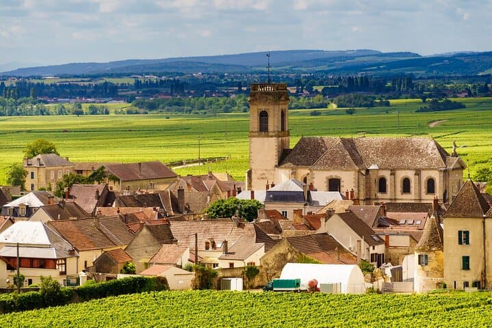 Private Côte de Beaune Wine Tour from Beaune — Clos de Vougeot & Gevrey-Chambertin