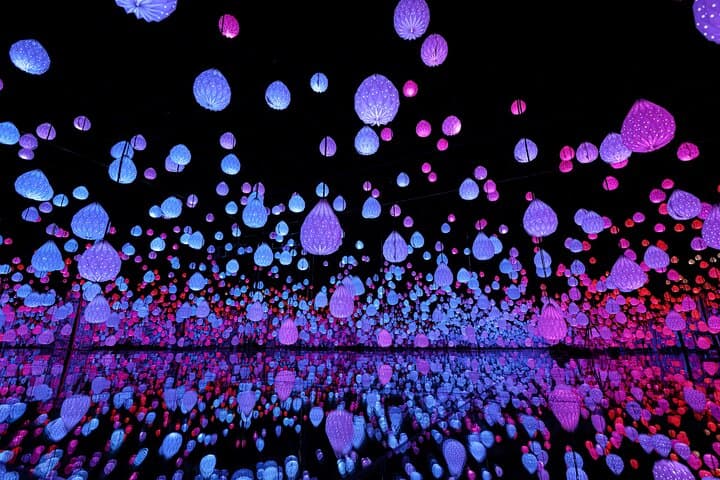 ARTE Museum Las Vegas: Explore the 'Eternal Nature' Multisensory Art Experience photo 3