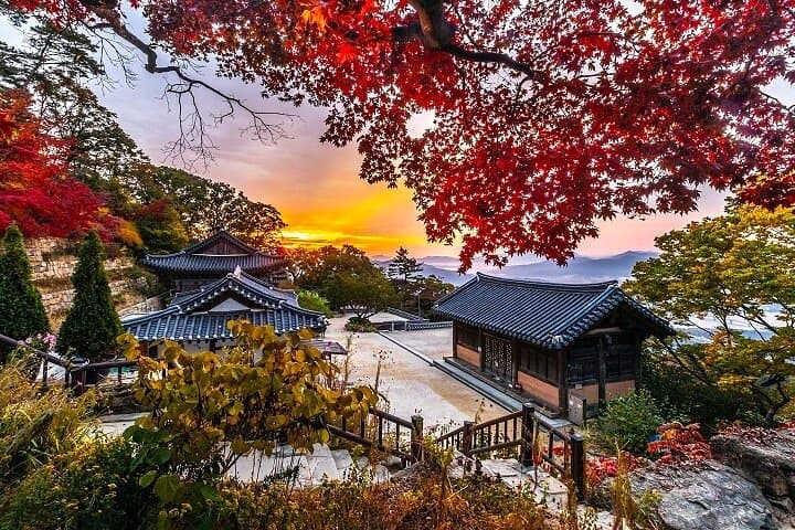 Discover Korea's Heritage: A Luxurious 4D3N KTX Journey Through Busan and Gyeongju photo 3
