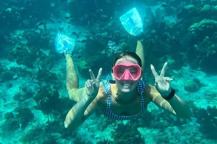 Catalina Island Snorkeling Day Trip from Bayahibe by Catamaran photo 4