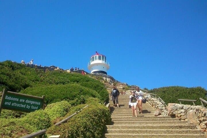 Table Mountain, Boulder's Beach & Cape Point: Full-Day Cape Town Coastal Tour photo 2