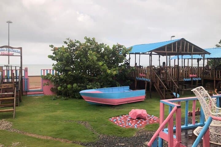 Whale Watching and Montana Redonda — Samaná Bay Humpbacks & Hilltop Swings photo 4