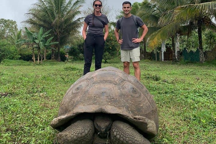 Galápagos Day Tour: Giant Tortoises, Lava Tunnels & Los Gemelos Craters photo 1