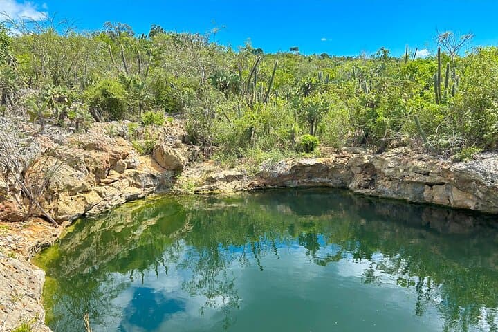 Private Full-Day Tour to Bahía de las Águilas — Pedernales Boat, Beach & Snorkel photo 3