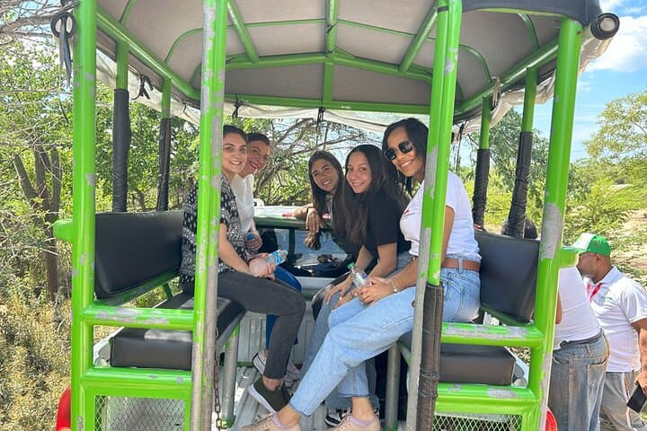 Private Crocodile Boat Tour on Lake Enriquillo — Wildlife Viewing from Barahona