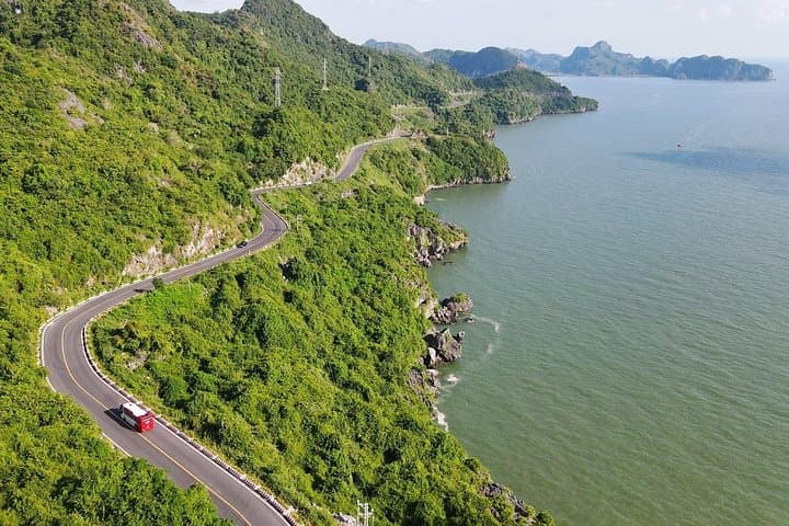 Half-Day Trek to Ngu Lam Peak: Cat Ba National Park Trekking Guide photo 3