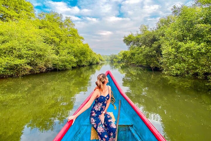 Nature Trail at Chorao Island: Salim Ali Bird Sanctuary Mangrove Boat Ride & Heritage Walk