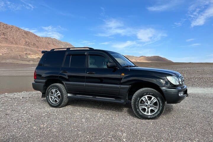 Charyn Canyon: Valley of Castles Day Tour from Almaty photo 2