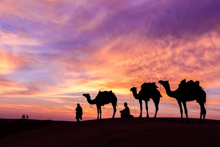 Jordan Joy: 3-Night Private Tour to Amman, Wadi Rum, Petra & the Dead Sea photo 4