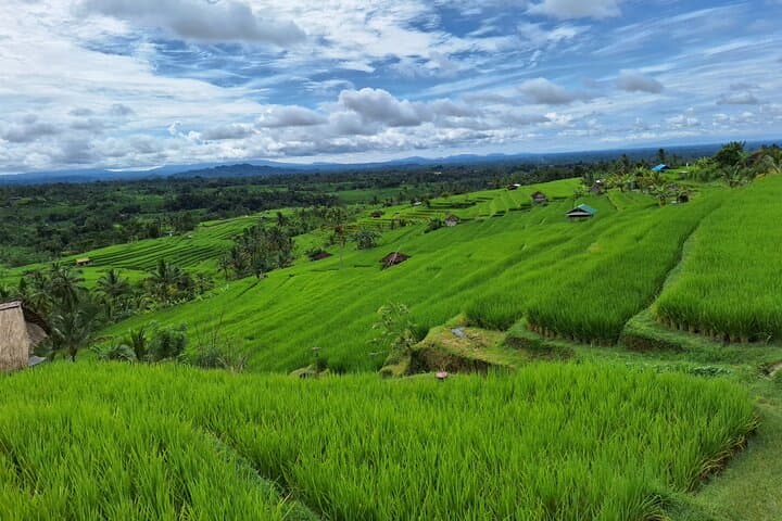 Bali Splendor Private Tour — Waterfalls, Ulun Danu Temple & Jatiluwih Rice Fields photo 6