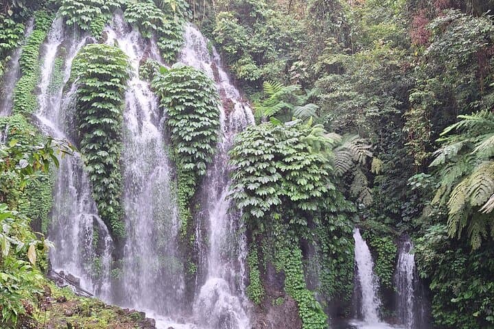 Bali Splendor Private Tour — Waterfalls, Ulun Danu Temple & Jatiluwih Rice Fields photo 3
