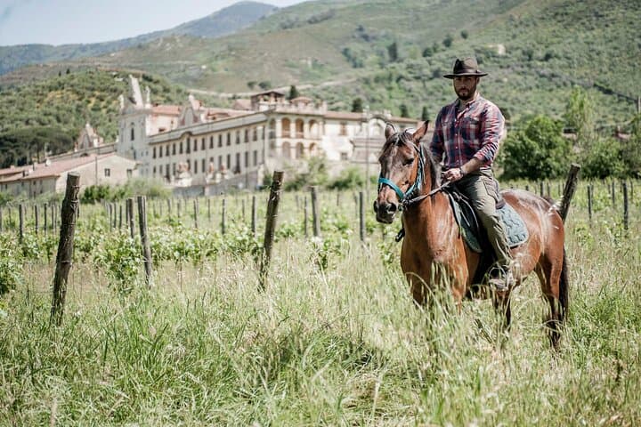 Ride Valgraziosa: One‑Hour Horseback Through Pisa’s Valley