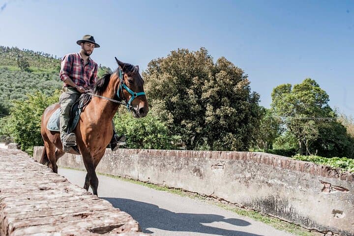 Ride Valgraziosa: One‑Hour Horseback Through Pisa’s Valley photo 3