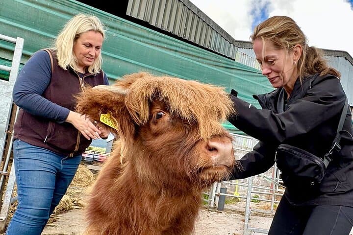 7-Day Best of Scotland Private Tour: Castles, Loch Ness, Skye & Whisky photo 3