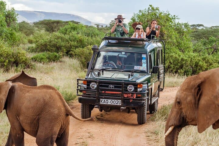 4-Day Masai Mara & Lake Nakuru Jeep Camping Safari: Big Five, Flamingos & Maasai Culture photo 4