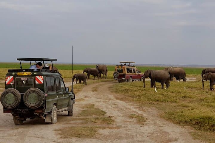 Overnight Amboseli Private Tour: Elephants, Kilimanjaro & Game Drives