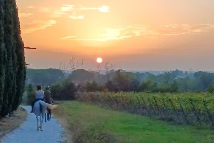 Sunset Horseback Ride to Certosa di Pisa — 1‑Hour Guided Equestrian Experience Near Pisa photo 3
