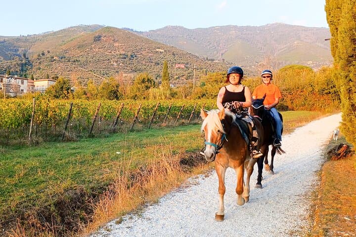 Sunset Horseback Ride to Certosa di Pisa — 1‑Hour Guided Equestrian Experience Near Pisa photo 4
