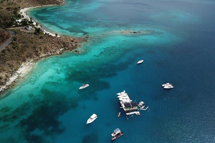 St. Thomas Snorkel Sail: Turtles and Tacos from Frenchman's Reef photo 3