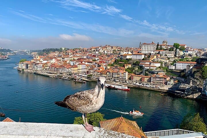 12-Day Private Food and Wine Tour in Portugal and Spain photo 3