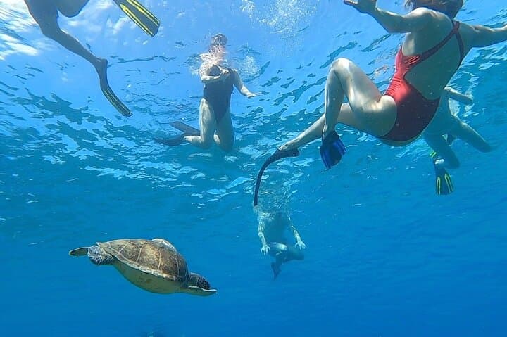 Aguadilla Tropical Snorkeling: Shore Snorkel with Sea Turtles and Coral Reefs photo 3