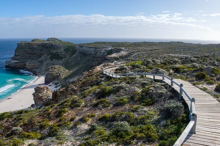 Half-Day Cape Peninsula Tour: Cape Point, Boulders Beach Penguins & Atlantic Coast photo 5