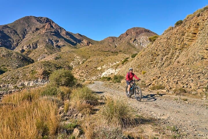 E-Bike Cape Peninsula Full-Day Tour: Cape Town to Cape Point & Boulders Beach photo 2