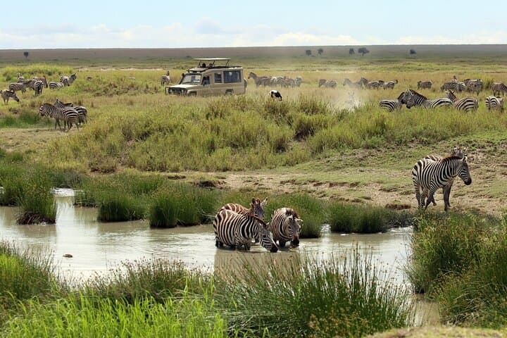Big Five Luxury 7-Day Safari from Arusha: Serengeti, Ngorongoro & Tarangire photo 1