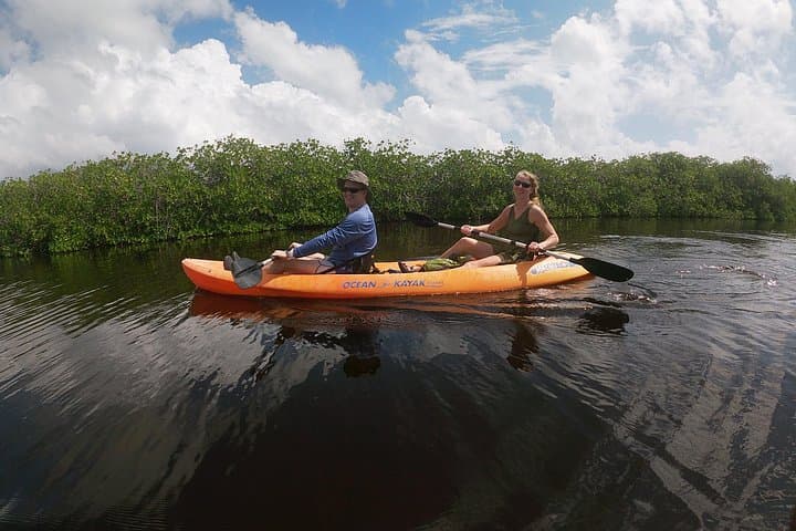 Kayaking the Costa Maya Mangroves: Local-Run Ecotour with Fishermen Lunch photo 1